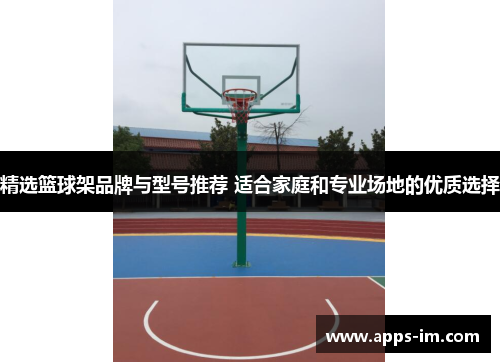 精选篮球架品牌与型号推荐 适合家庭和专业场地的优质选择
