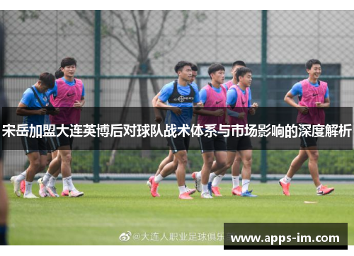 宋岳加盟大连英博后对球队战术体系与市场影响的深度解析
