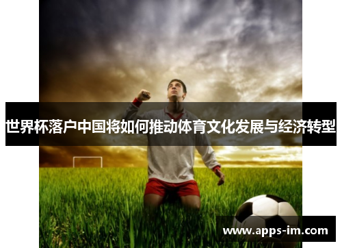 世界杯落户中国将如何推动体育文化发展与经济转型