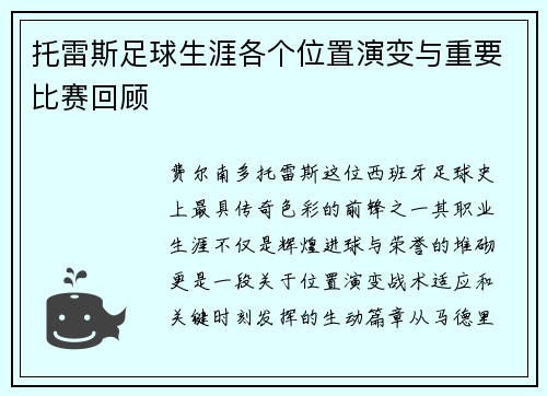 托雷斯足球生涯各个位置演变与重要比赛回顾
